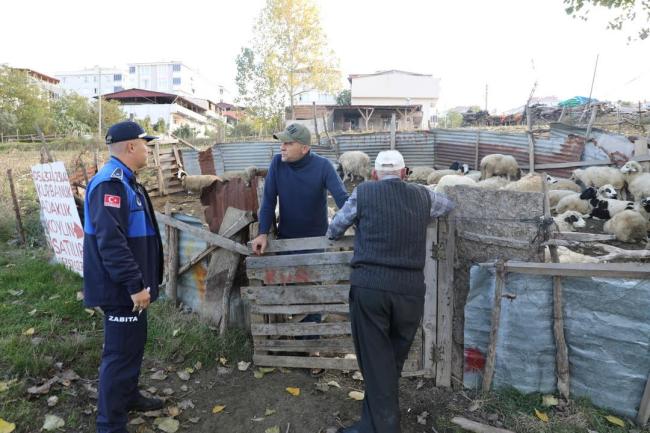 İlkadım’daki hayvan ahırlarına müdahale