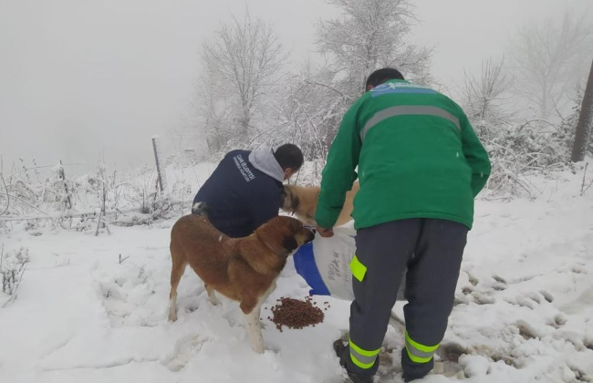 Canik’te kar teyakkuzu: Başkan Sandıkçı yakın takipte