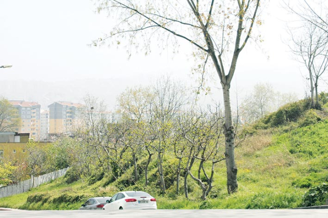 Samsun’daki efsane tepe: Buraya çıkanın öksürüğü geçiyor Samsun’daki efsane tepe: Buraya çıkanın öksürüğü geçiyor
