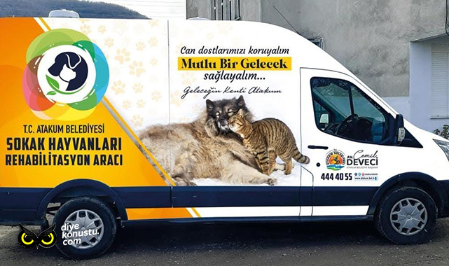 Atakum’da sokak canlıları yalnız değil… 32 ton mama desteği verildi