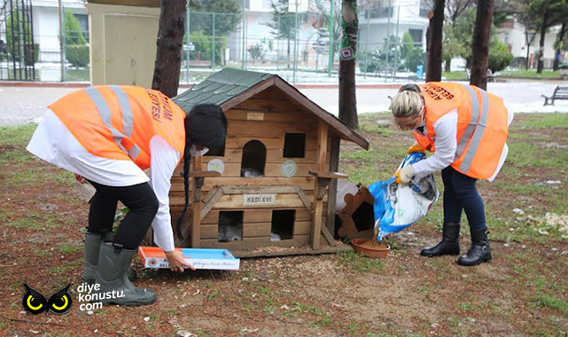 Atakum’da sokak canlıları yalnız değil… 32 ton mama desteği verildi