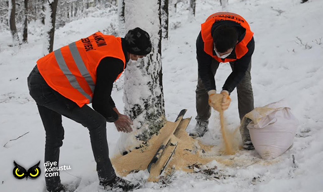 Atakum’da sokak canlıları yalnız değil… 32 ton mama desteği verildi