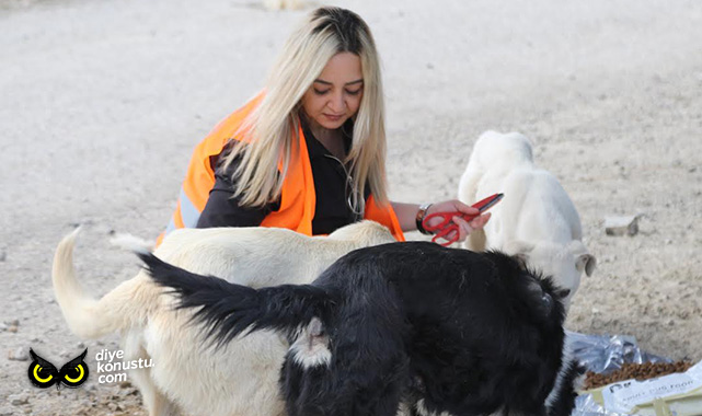 Atakum’da sokak canlıları yalnız değil… 32 ton mama desteği verildi