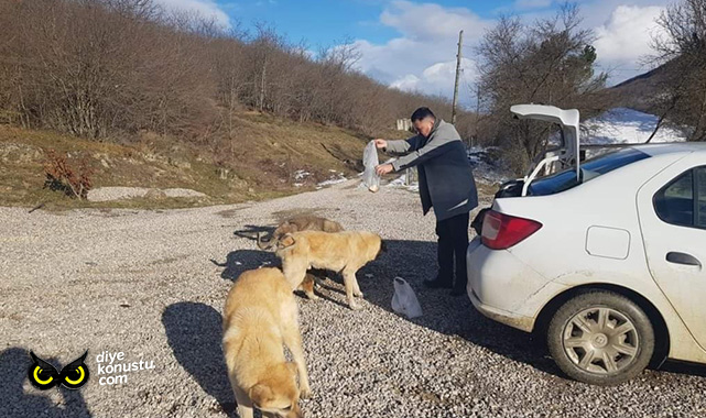 Ender Çıkla: Can dostlarımızın uyutulmasını asla kabul etmiyoruz