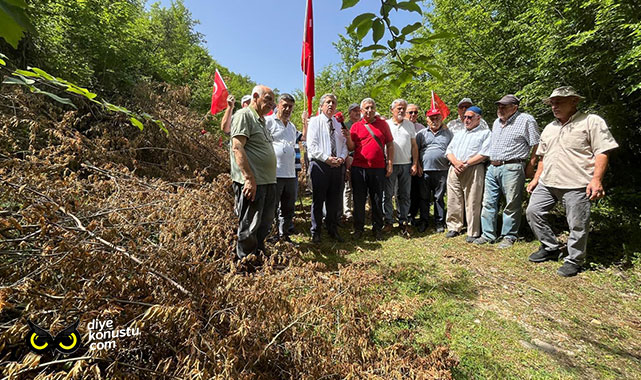 Samsun’da fabrikalar için doğa katliamı… Vatandaşın isyanına destek geldi…