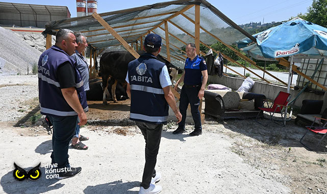 Zabıtadan klasik Kurban Bayramı denetimi