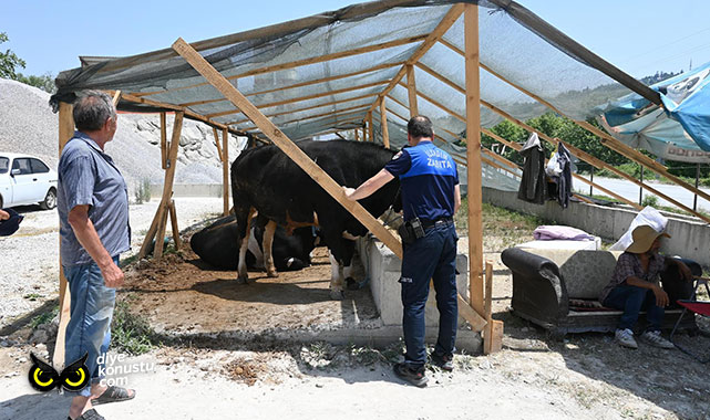 Zabıtadan klasik Kurban Bayramı denetimi