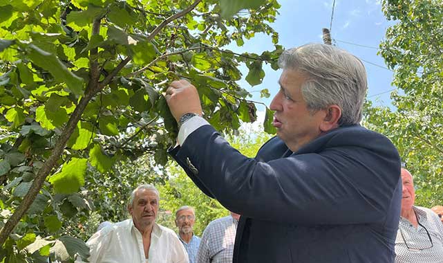 CHP Milletvekili Çan: Kaçak villacıya var, orman köylüsüne yok
