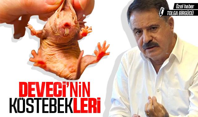 İşte CHP'li Atakum Belediye Başkanı Cemil Deveci'nin köstebekleri!