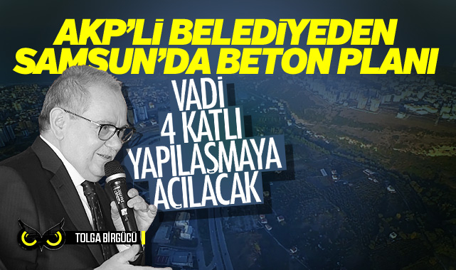 "AKP'li