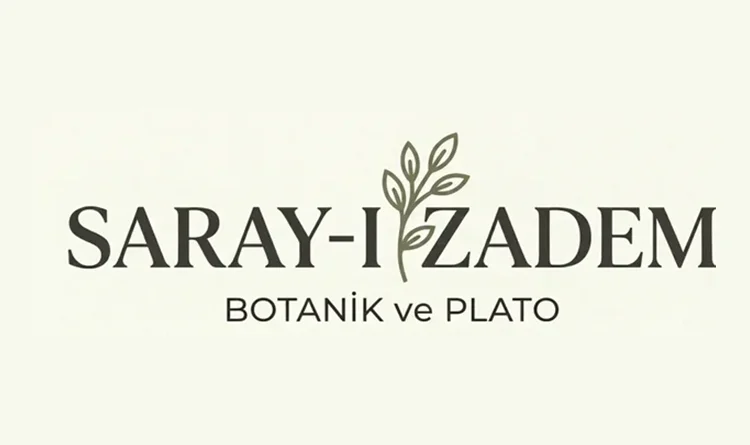 Açık alanlarda estetik dönüşüm dış mekan bitkileri