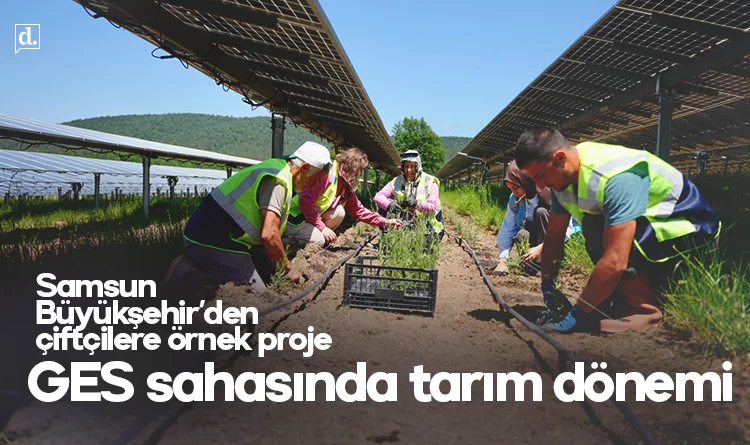 Samsun Büyükşehir’den çiftçilere örnek proje: GES sahasında tarım dönemi başladı
