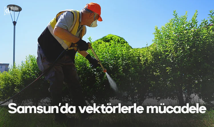 Samsun'da şehir genelinde vektörlerle mücadele