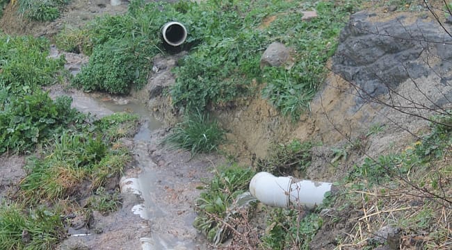 Yazarken biz utandık: Samsun’daki bu sitede her türlü rezalet var!