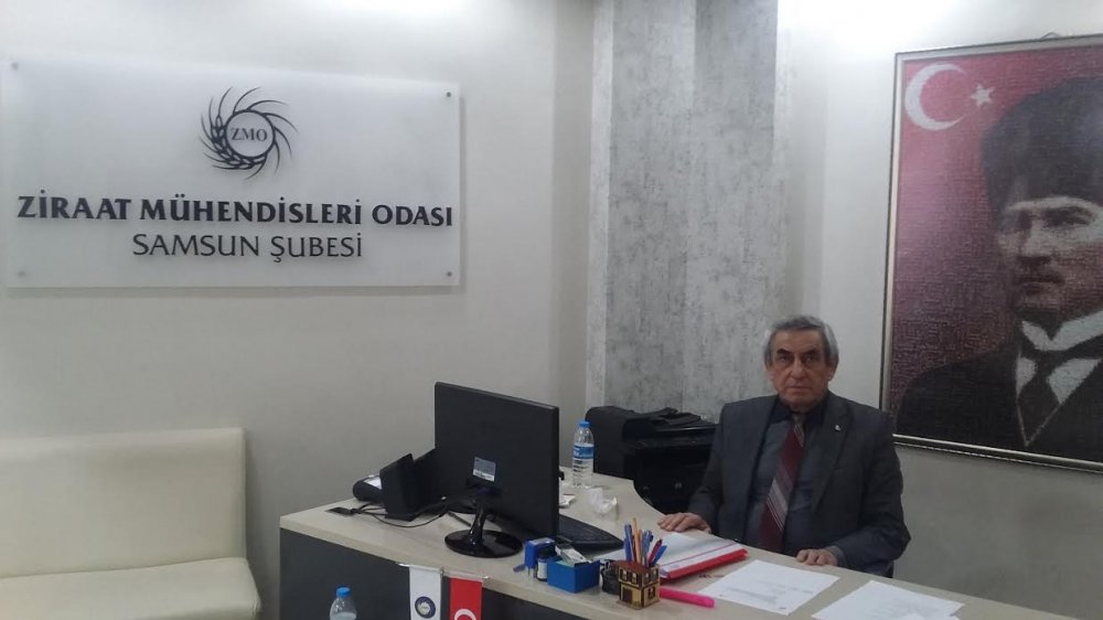 Oltan ve Köleoğlu’nun santraline karşı güçbirliği: ZMO da davaya müdahil oldu