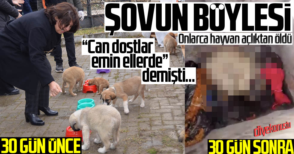 Samsun’da skandal olaya tepki: Şovla açtınız, ölüme terk ettiniz