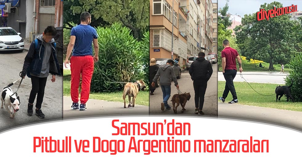 Yeni nesil hobi: Ölüm makinesi gezdirmek