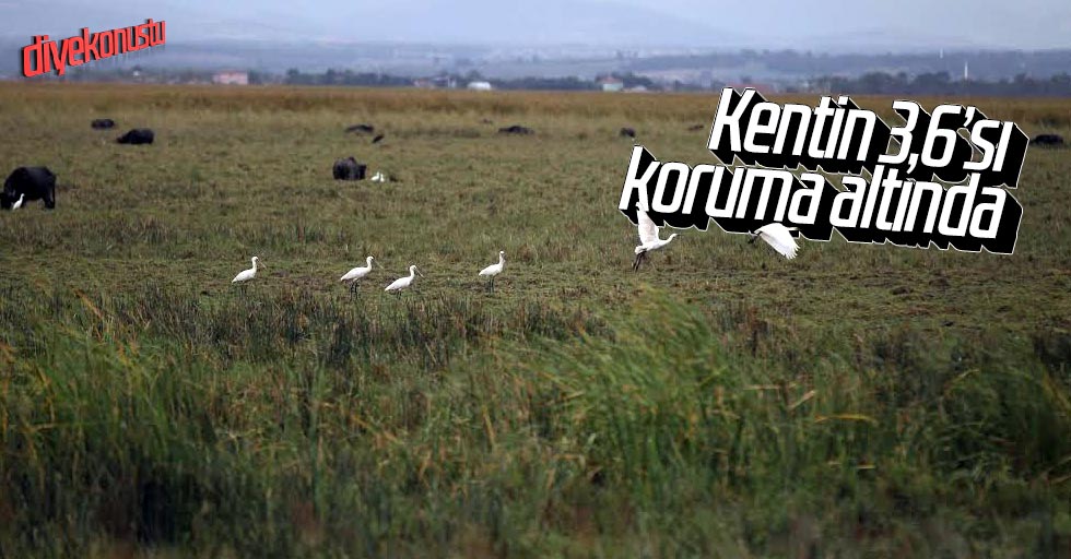 Samsun’un yüzde 3,6’sı koruma altında