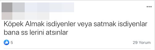 Samsun’da sosyal medyada ölümcül köpek satışı