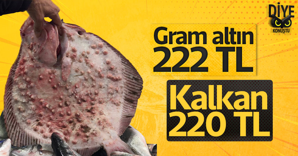 Gram altın 222 TL Kalkan balığı 200 TL