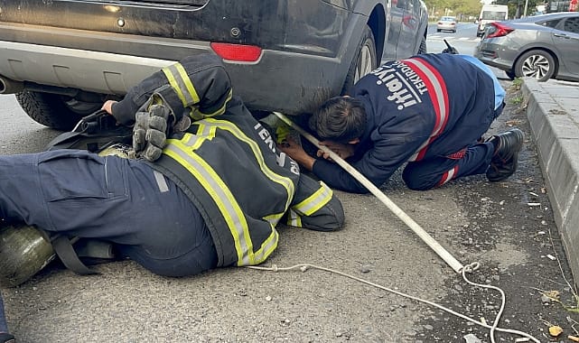 Samsun’da cep telefonlu kedi kurtarma operasyonu