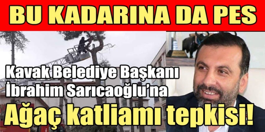 Samsun’da AK Partili başkana ağaç katliamı tepkisi!