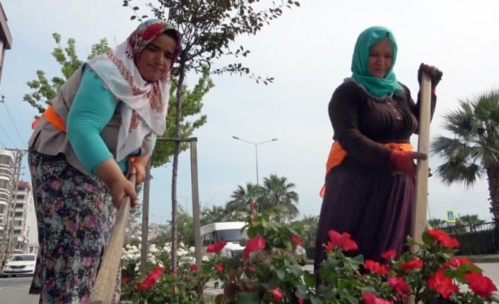 Saygısızlığın böylesi: Refüjlerdeki çiçekleri çalıyorlar
