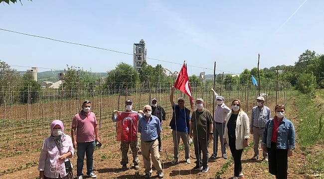 Kavak’ın suyuna ve tarlalarına çimento yağacak: Fabrika krizi