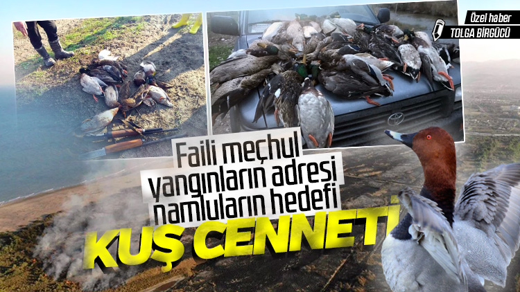 Faili meçhul yangınların ve namluların hedefi: Kuş Cenneti