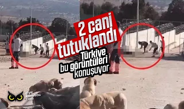 Türkiye’yi ayağa kaldıran vahşet: 2 cani tutuklandı