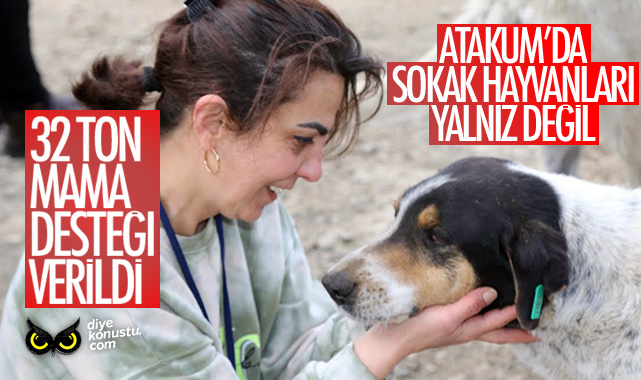 Atakum’da sokak canlıları yalnız değil… 32 ton mama desteği verildi