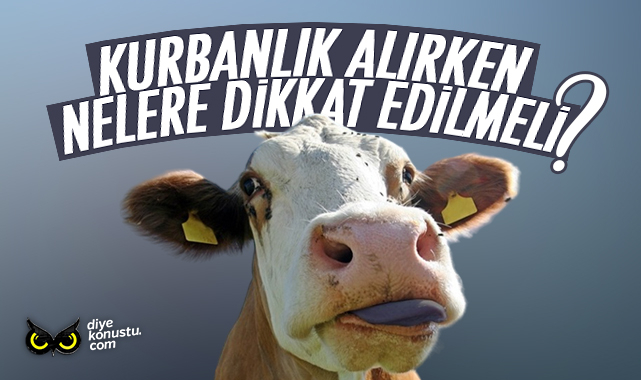 İl müdürü tek tek anlattı, uyardı… Kurbanlık alırken nelere dikkat edilmeli?