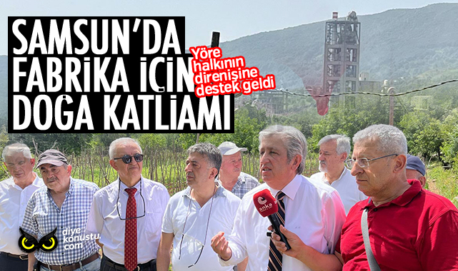 Samsun’da fabrikalar için doğa katliamı… Vatandaşın isyanına destek geldi…