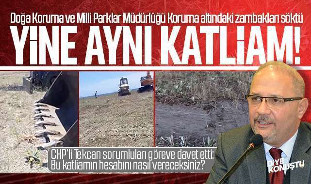 Samsun’da tanıdık katliam! Doğa Koruma müdürlüğü koruma altındaki zambakları katletti