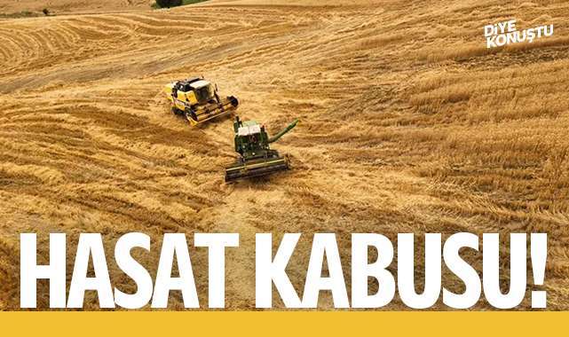 Çiftçinin hasat kabusu… Zarar üstüne zarar…