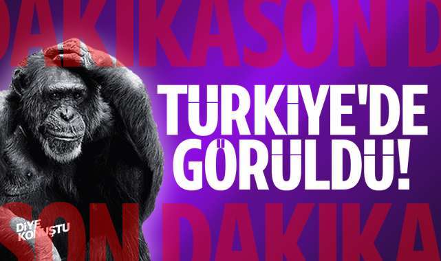 Türkiye’de ilk defa görüldü… 2 hastanede Maymun çiçeği karantinası…