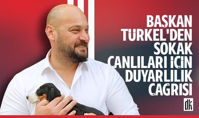 Başkan Serhat Türkel’den Sokak hayvanları için duyarlılık çağrısı
