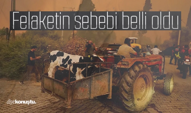 Felaketin sebebi belli oldu! İşte itfaiye raporu