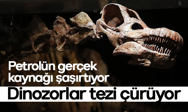 Petrolün gerçek kaynağı şaşırtıyor: Dinozorlar mı, minik planktonlar mı?
