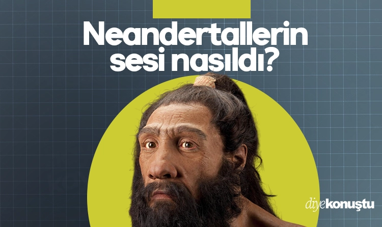 Neandertallerin sesi nasıldı?
