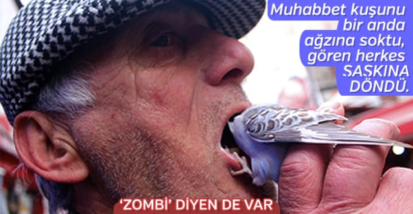 blog img