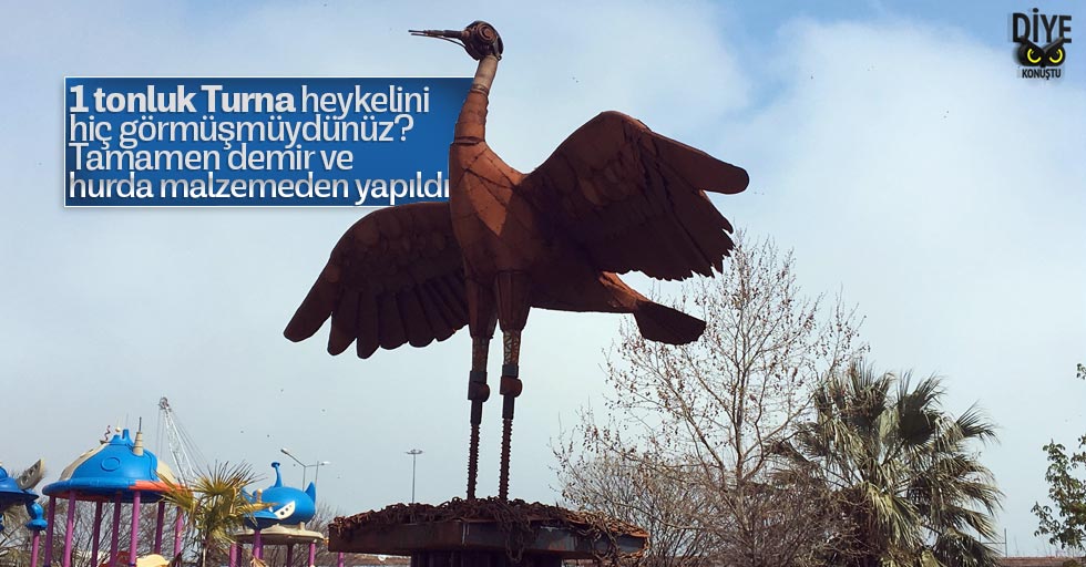 blog img