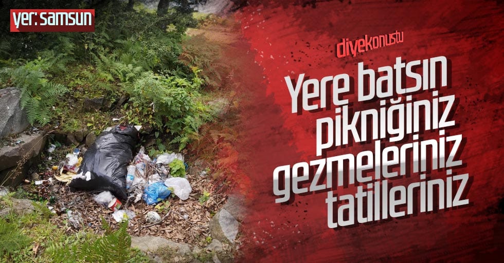 Samsun Atakum’daki Kocadağ’da çevre katliamı