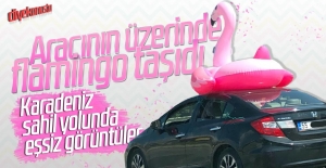 Karadeniz sahil yolunda eşsiz görüntüler