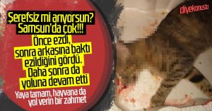 Samsun’daki sürücü önce ezdi, sonra ölüme terk etti