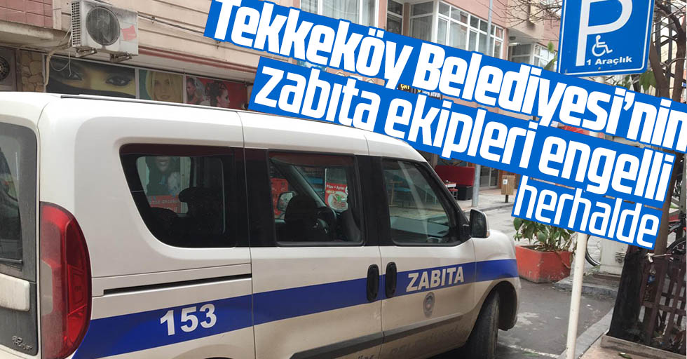 AK Partili Başkan Togar’a ‘zabıtanı eğit’ çağrısı!