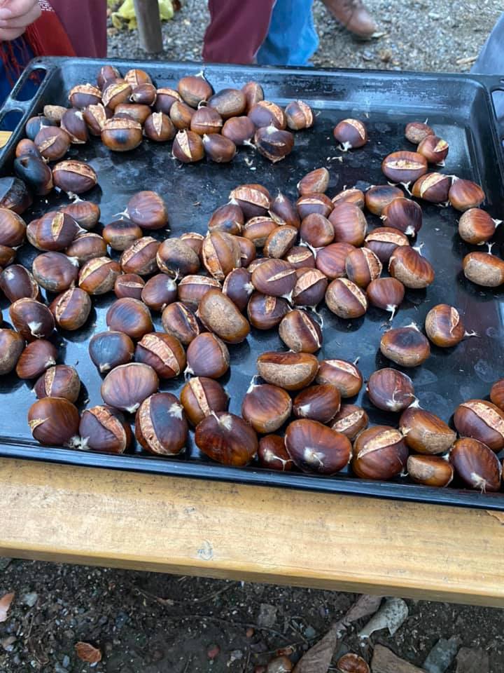 Yine Terme yine sıkıntı: Belediyenin aracıyla cızz-bızz.. 5 terme ciz biz3