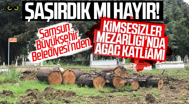 Samsun Kimsesizler Mezarligi Jpg