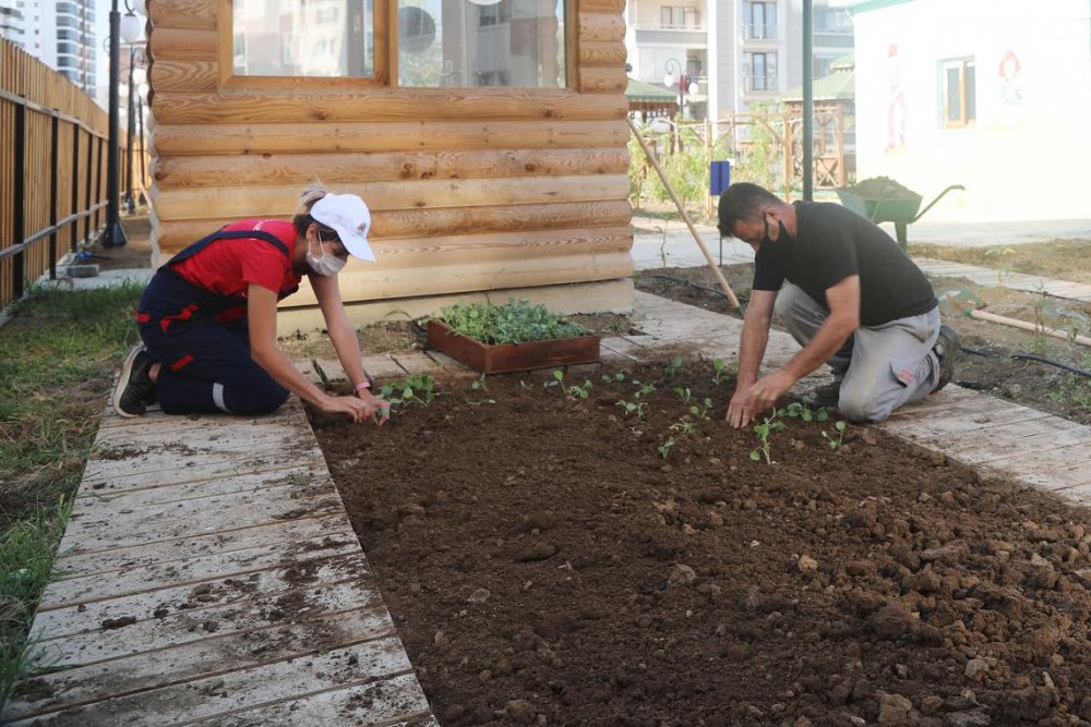 Atakum Belediyesi Atatohum Ile Karadenize Onculuk Ediyor Jpg