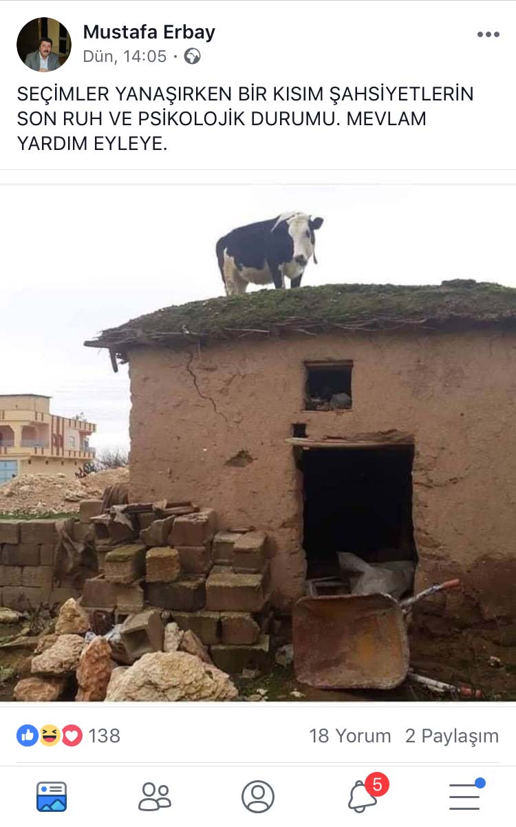 Erbaydan Siyasilere Inekli Gonderme Jpg